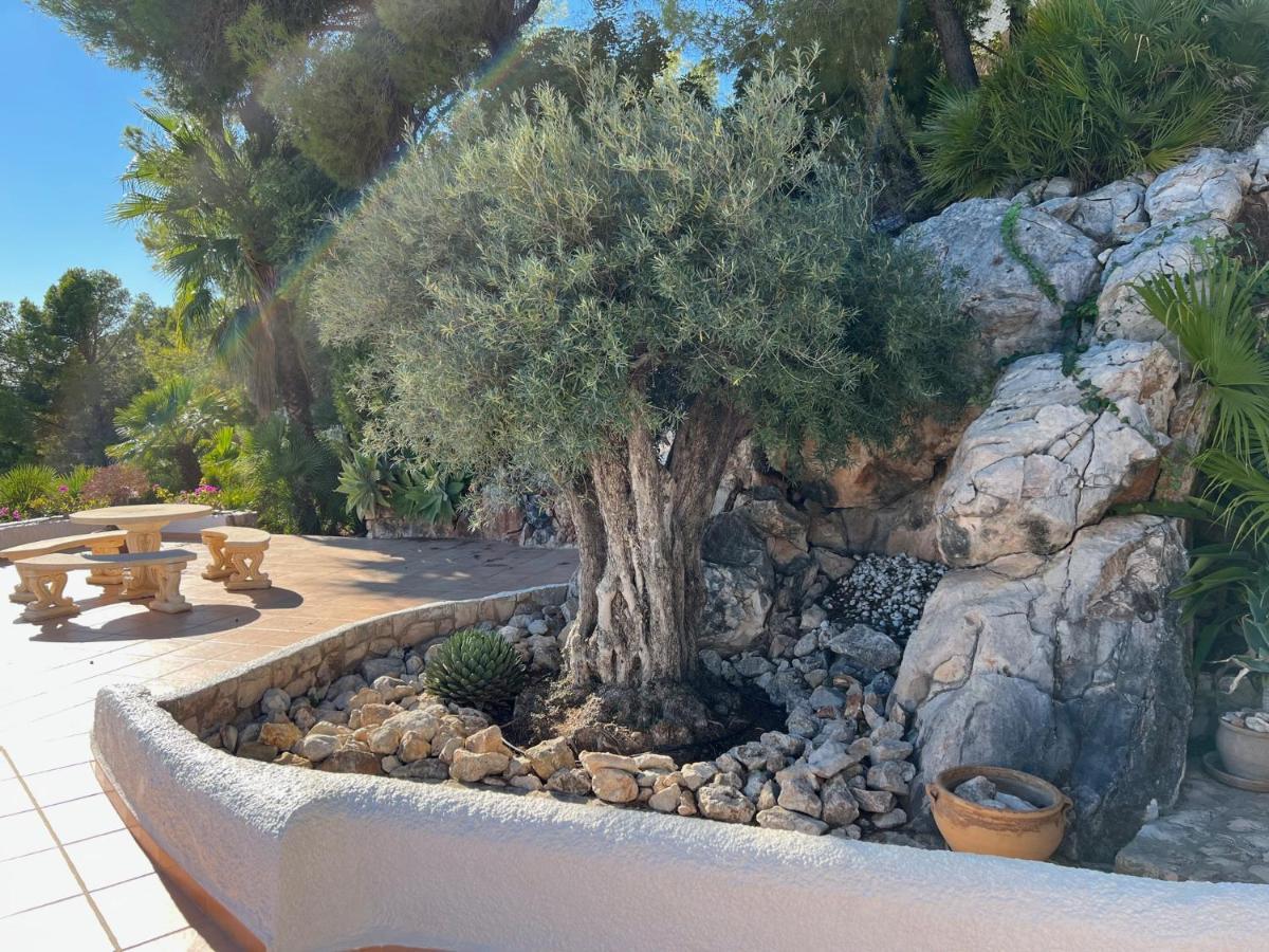Blanca * Altea