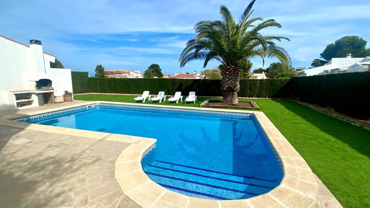 Palmera * Calafat