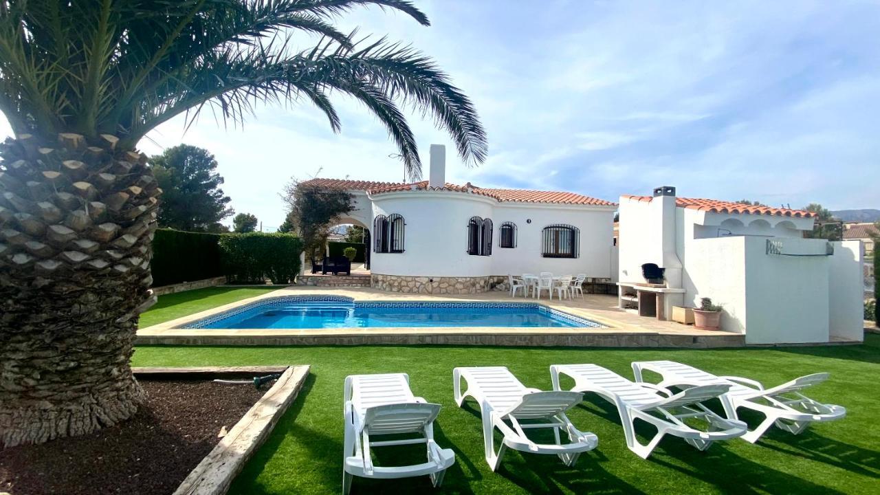 Palmera Calafat