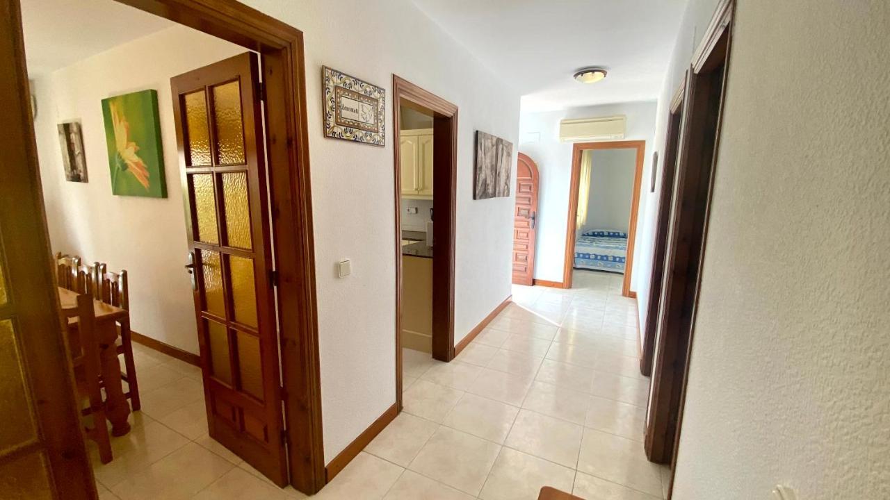 Palmera * Calafat
