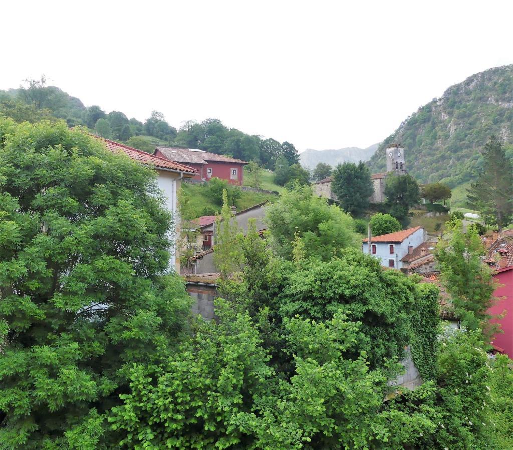 Cabrales Sol Carreña