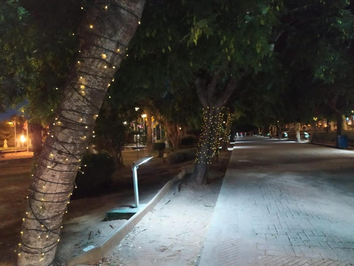 Cosy Near The Park * Torrevieja