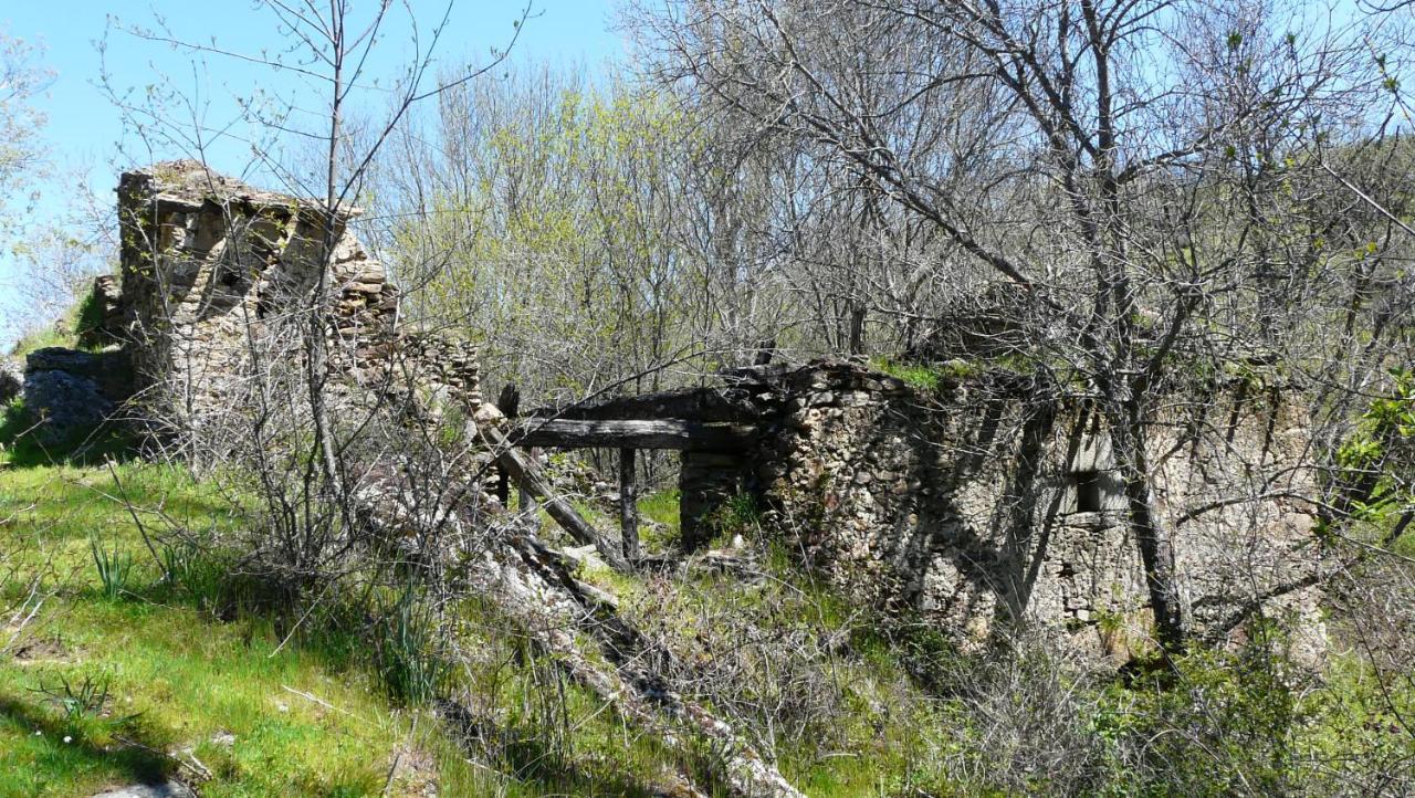 El Huerto De Leon
