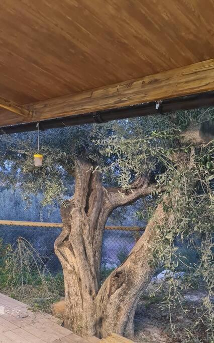 Casaruibella Holiday home