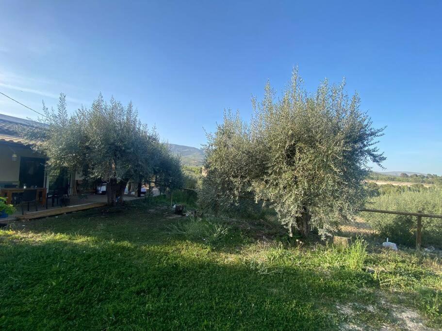 Casaruibella