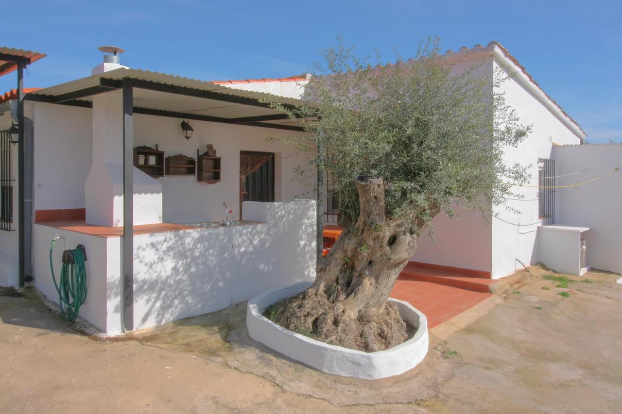 Naranjo