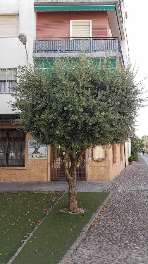 Fantástico Junto A La Judería Córdoba
