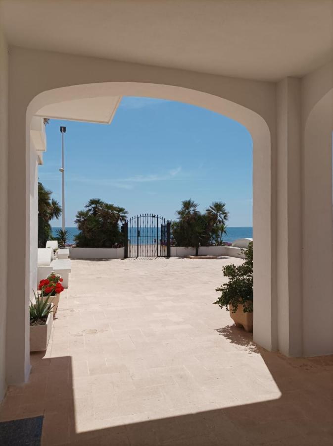 Almar Collection Ar * Cullera