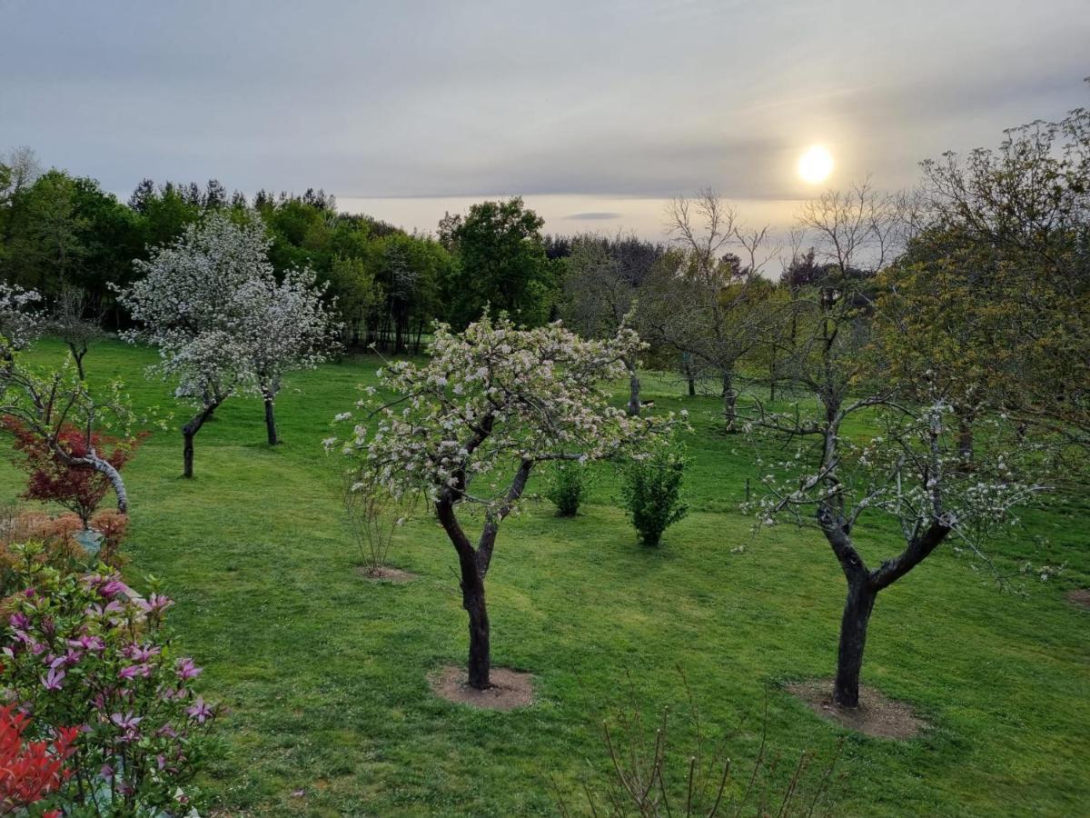 Casa Pro Pantea Holiday home *