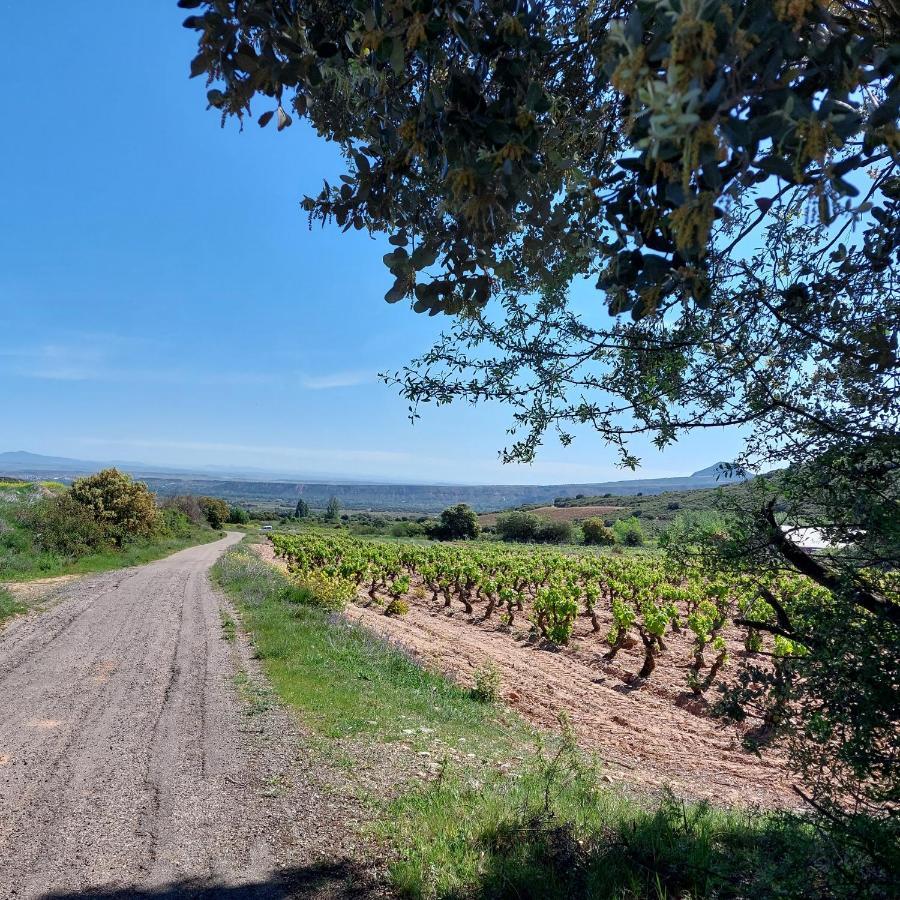 Turismo Golf Naturaleza Y Vino Sojuela