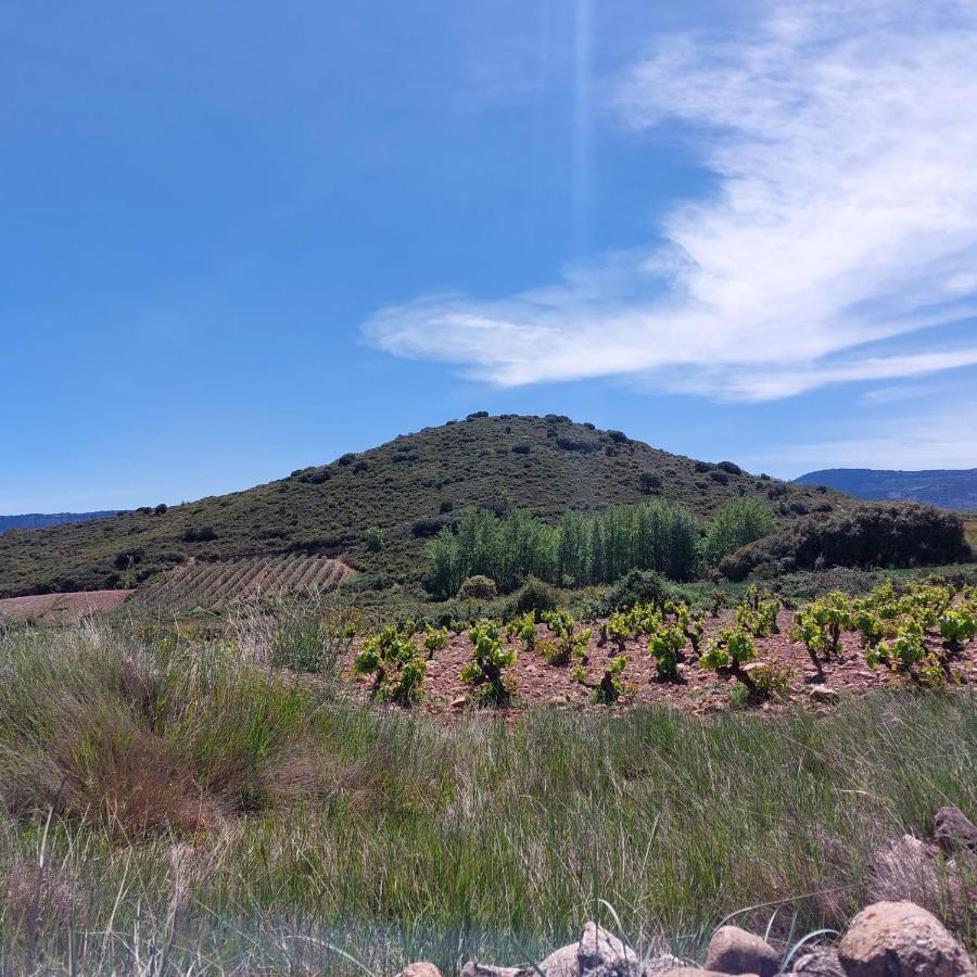 Turismo Golf Naturaleza Y Vino Apartment *