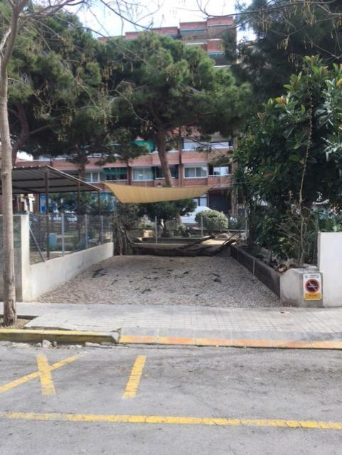 Apartamento Mateu-gran Terraza *