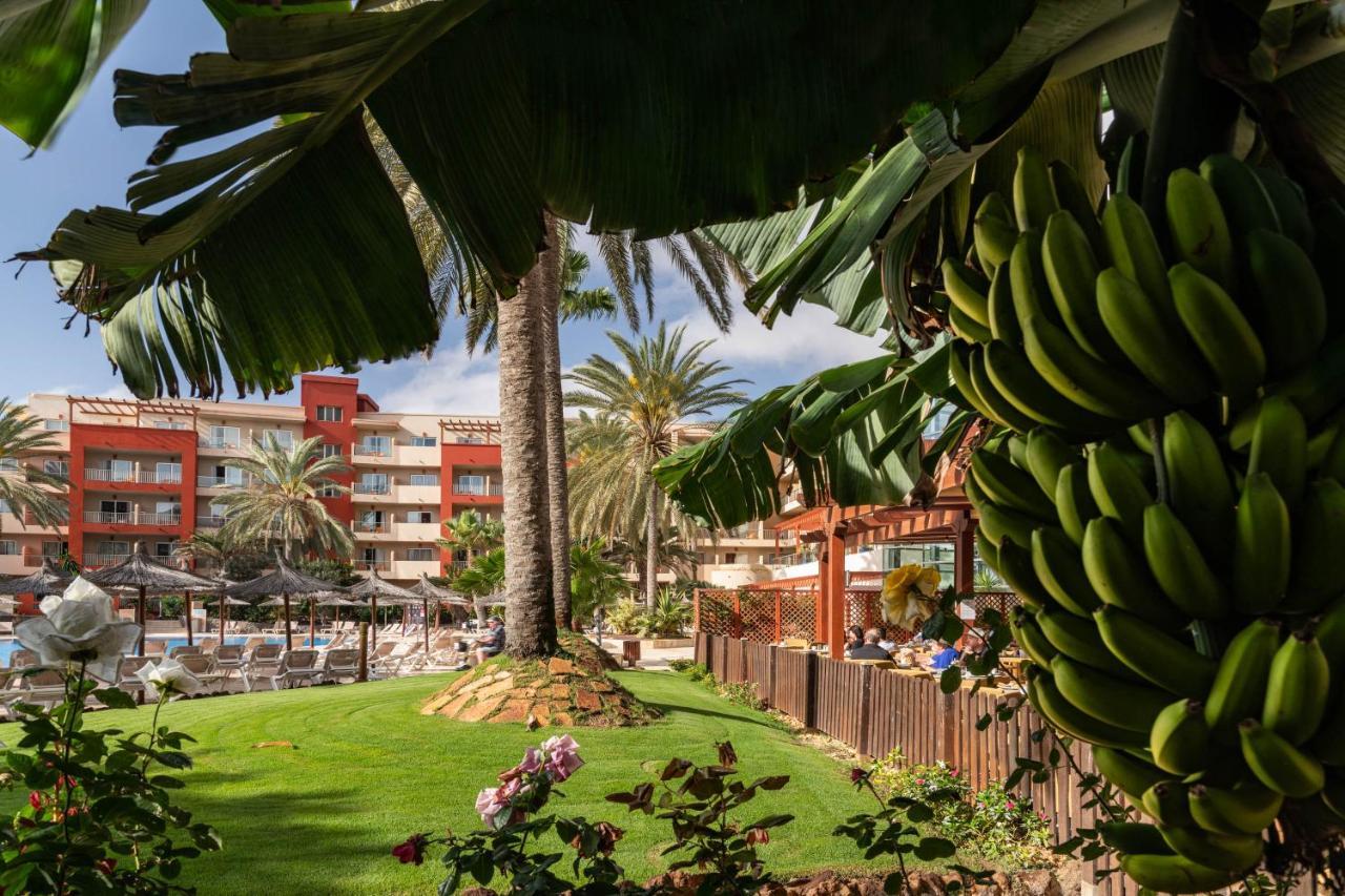 Resort Elba Carlota & Golf 4*