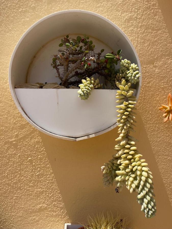 Apartamento Eco House Golfinhos