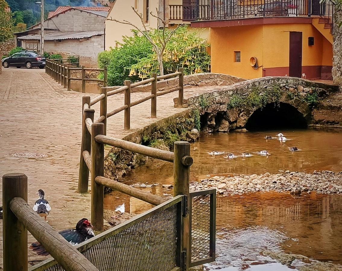 Apartamento La Buganvilla Novales