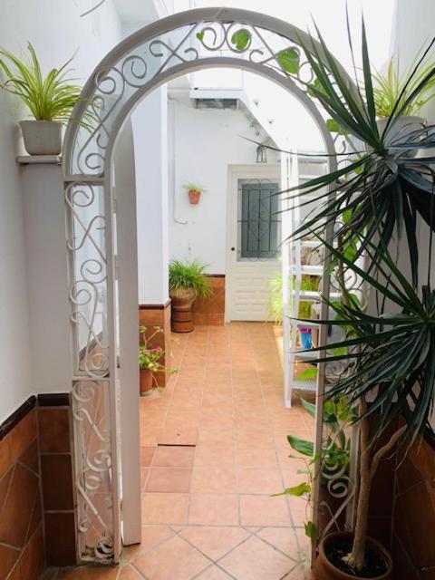 Apartamento 300m De La Playa Conil De La Frontera