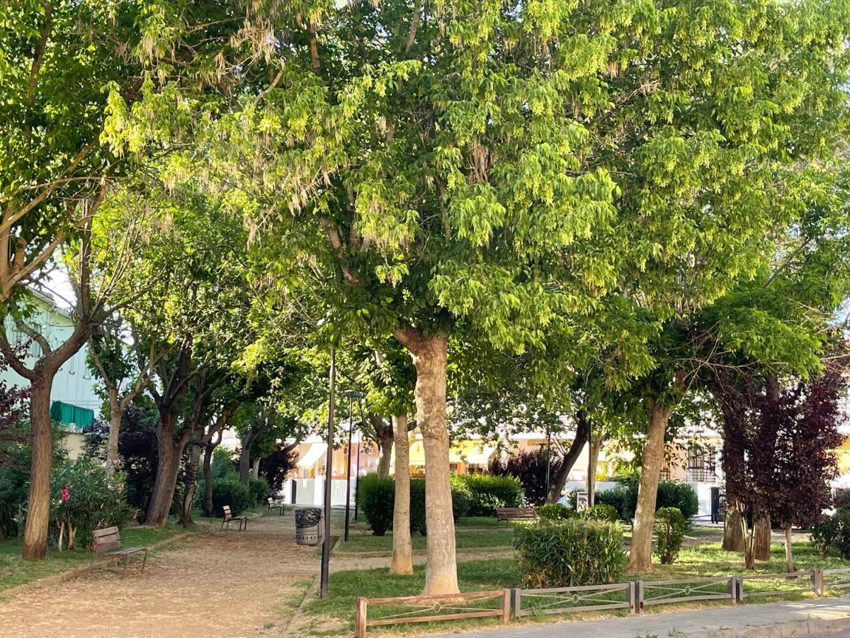 Casa Vivian *