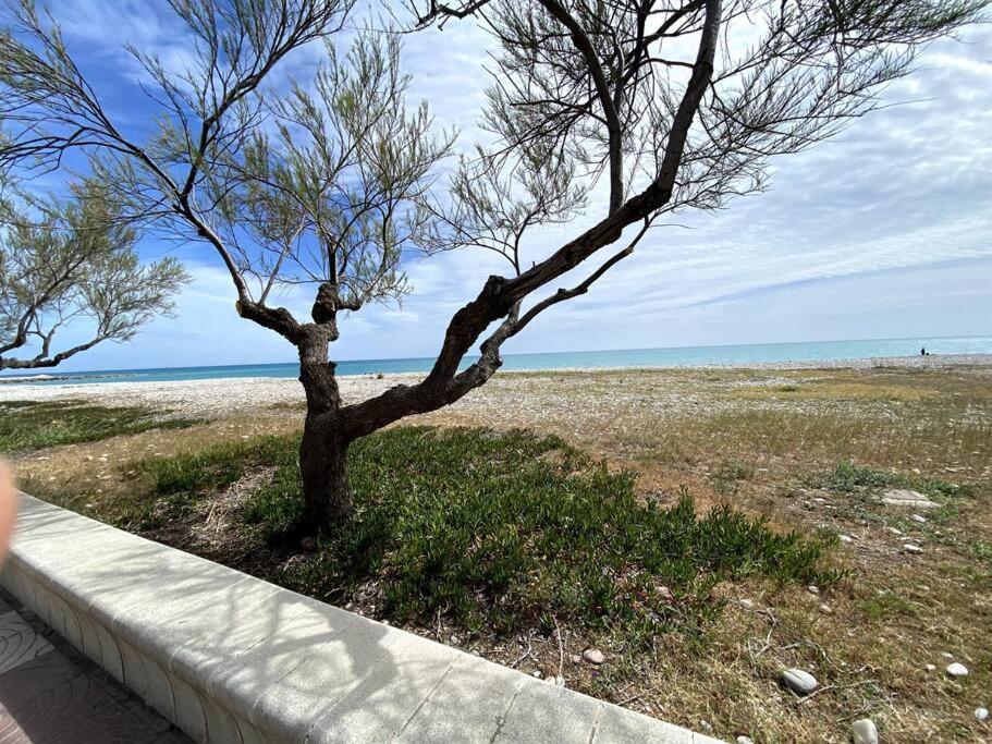 Apartamento Vistas Al Mar, A 350m De La Playa Apartamento *