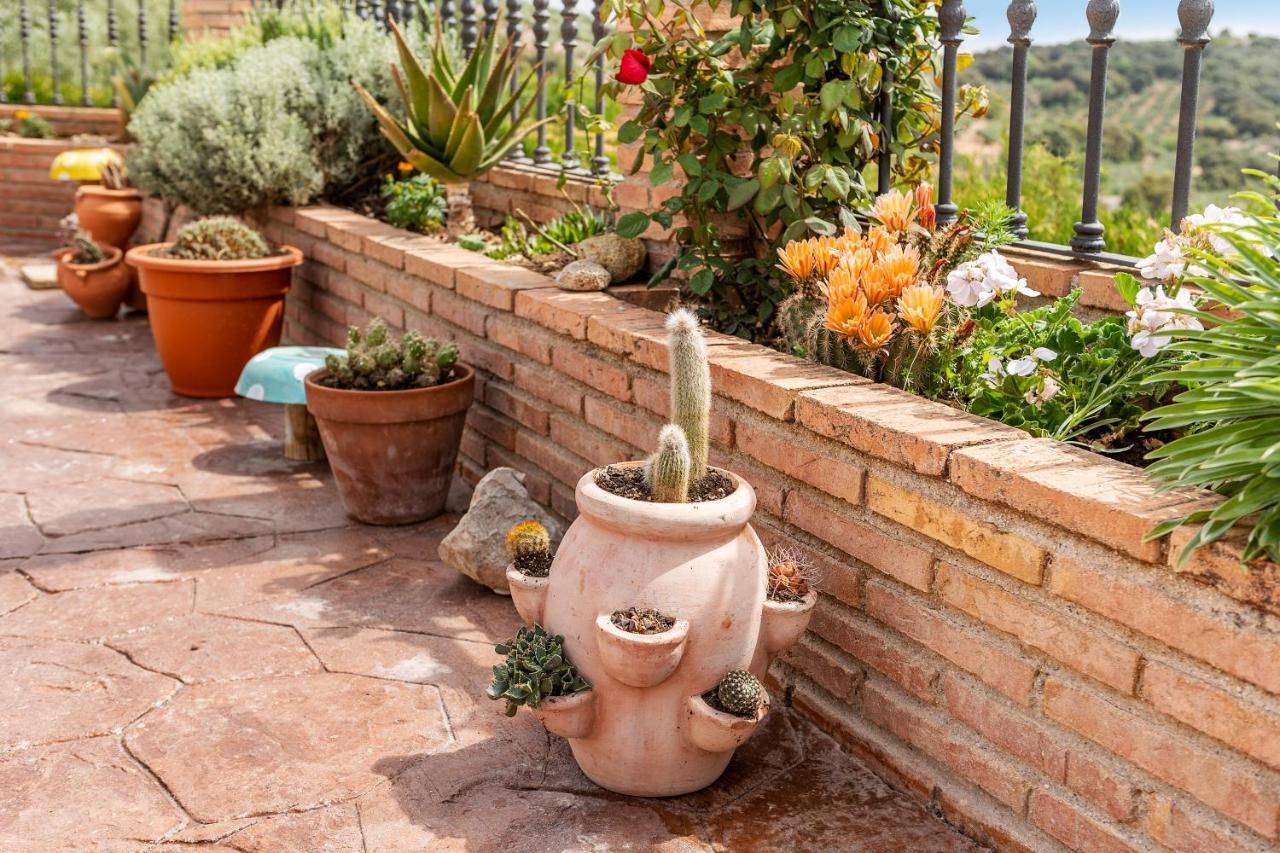Holiday home Cortijo La Solana *