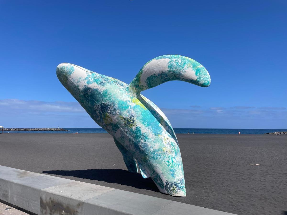 Centrico Y Moderno, Cerca De La Playa Apartamento