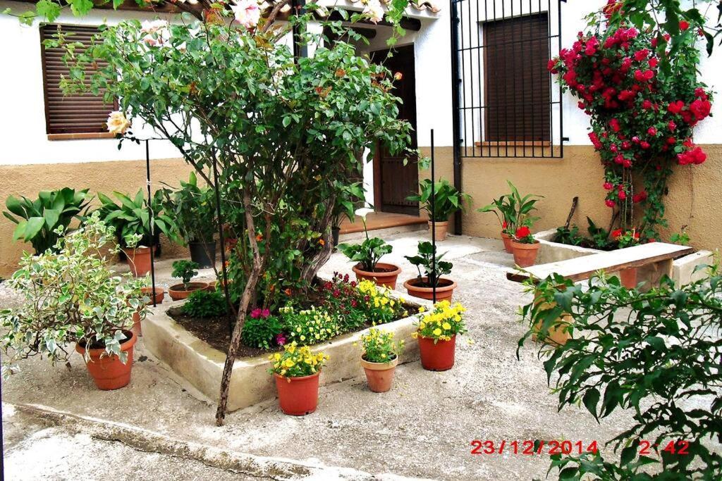 Casa Del Abuelo 1 Сasa de vacaciones Yeste