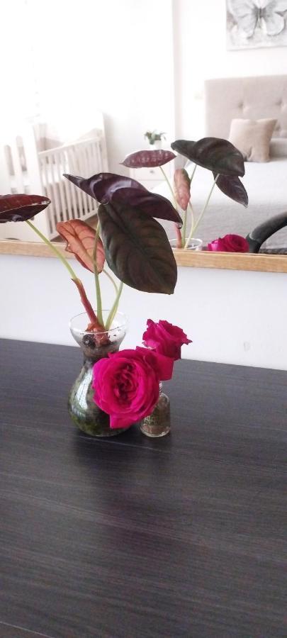 Apartment Idafe *