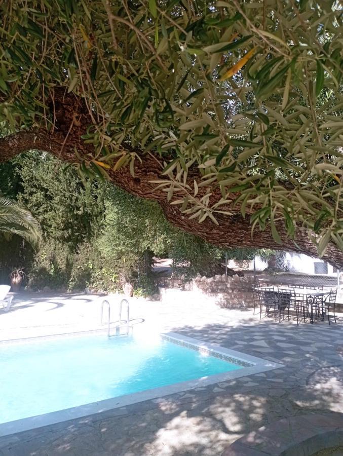 El Cañuelo * Zahara De La Sierra