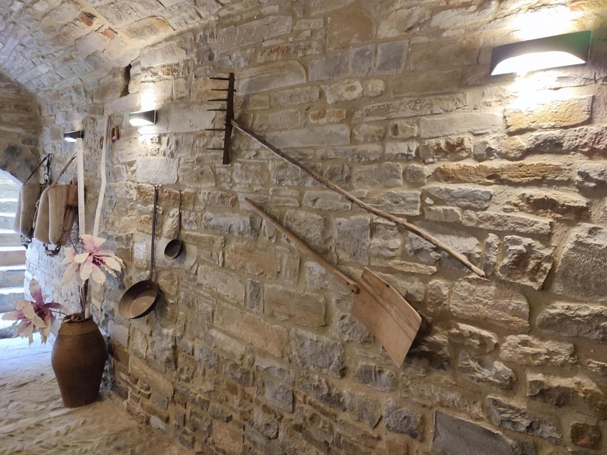 Apartamento Pirineo Aínsa