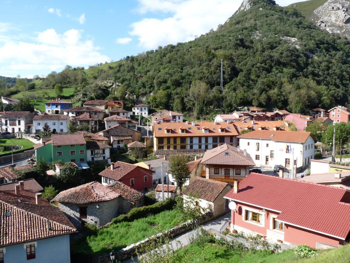 Cabrales Sol