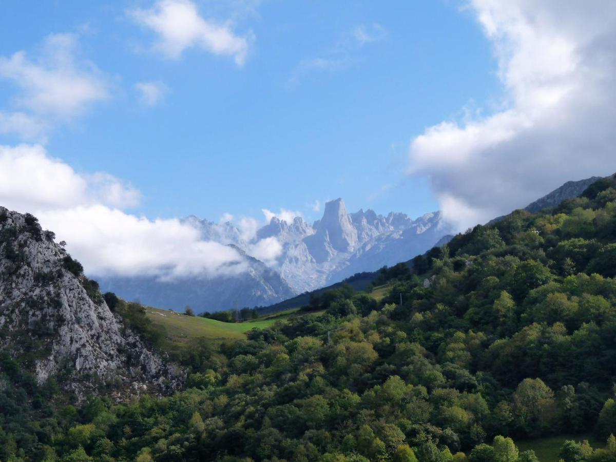 Cabrales Sol