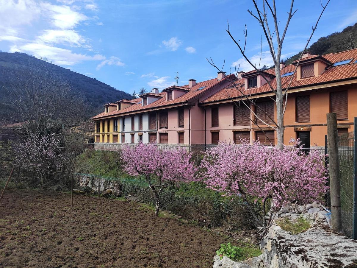 Apartamento Cabrales Sol