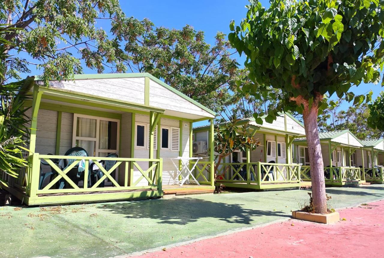 Campsite El Jardin El Campello
