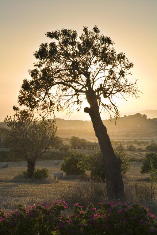 Agroturismo Sa Rota D' En Palerm