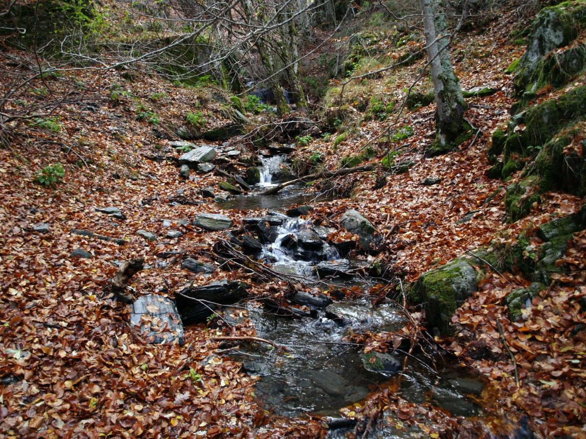 El Huerto De Leon * Pradena del Rincon