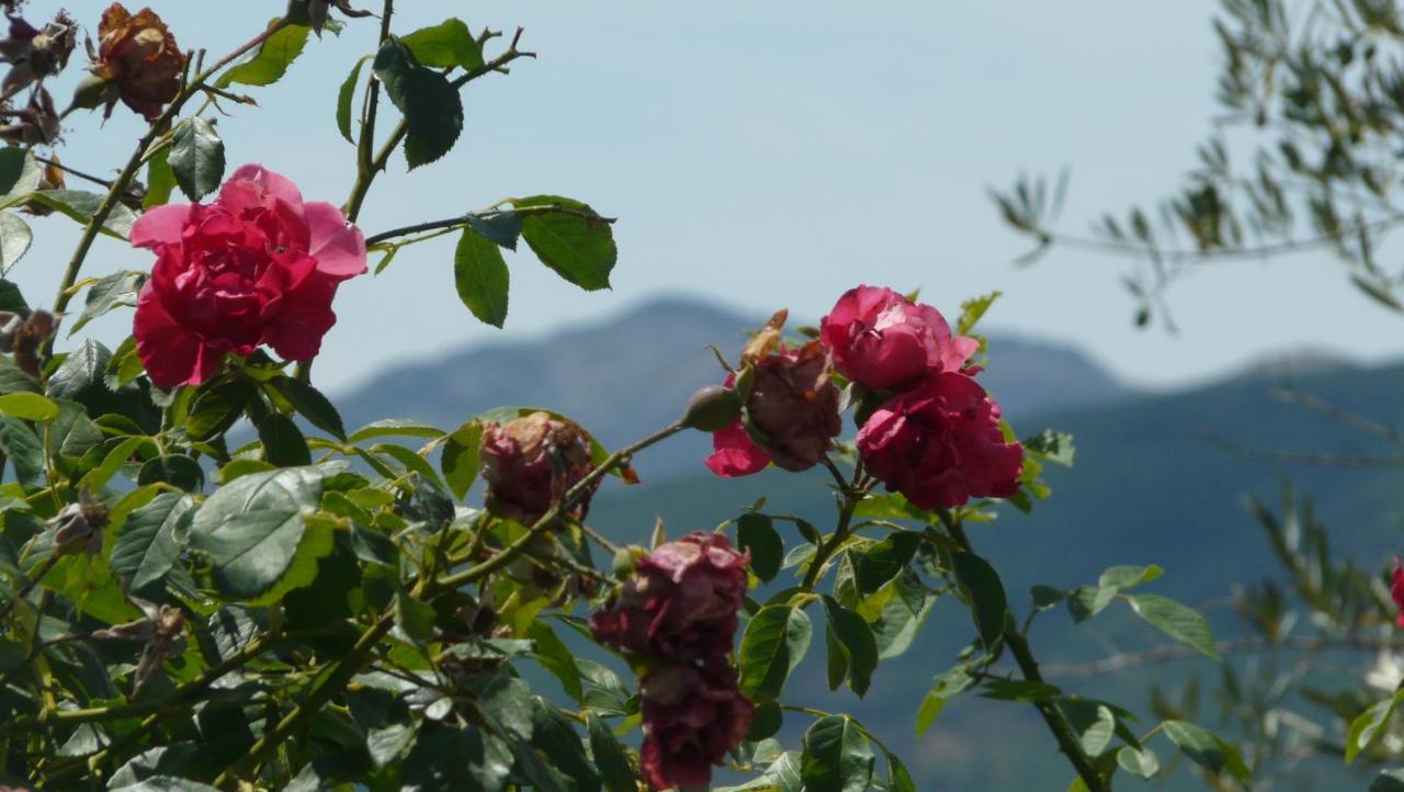 El Huerto De Leon Holiday home Pradena del Rincon