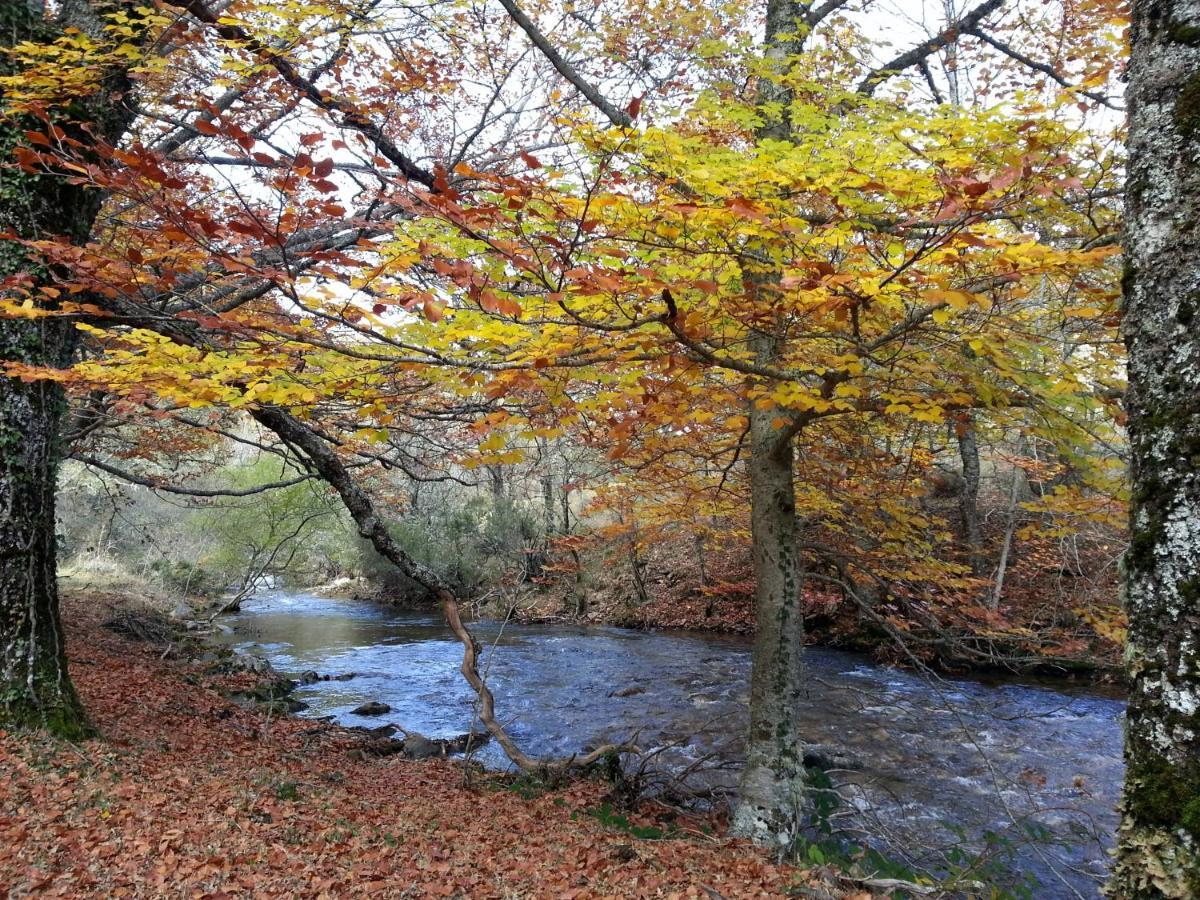 El Huerto De Leon Holiday home *