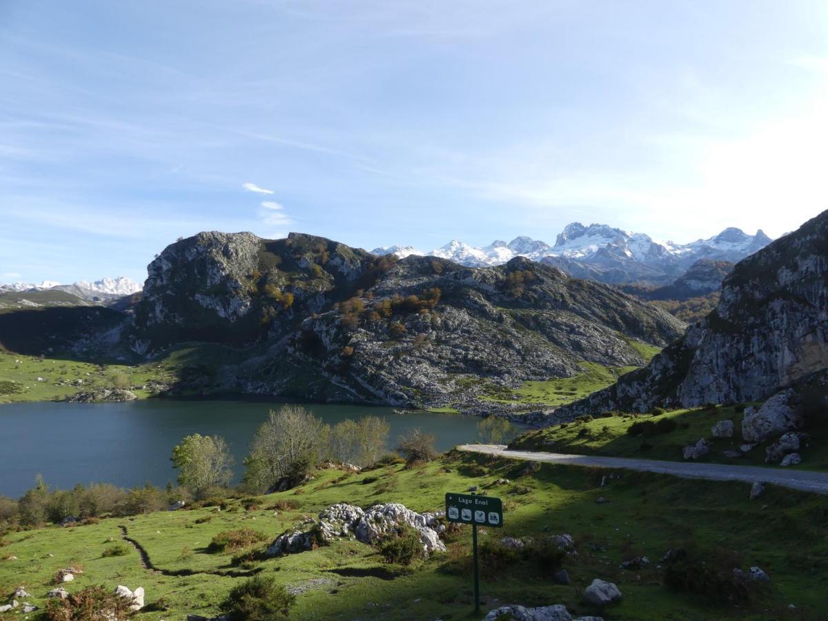 Cabrales Sol Apartamento Carreña