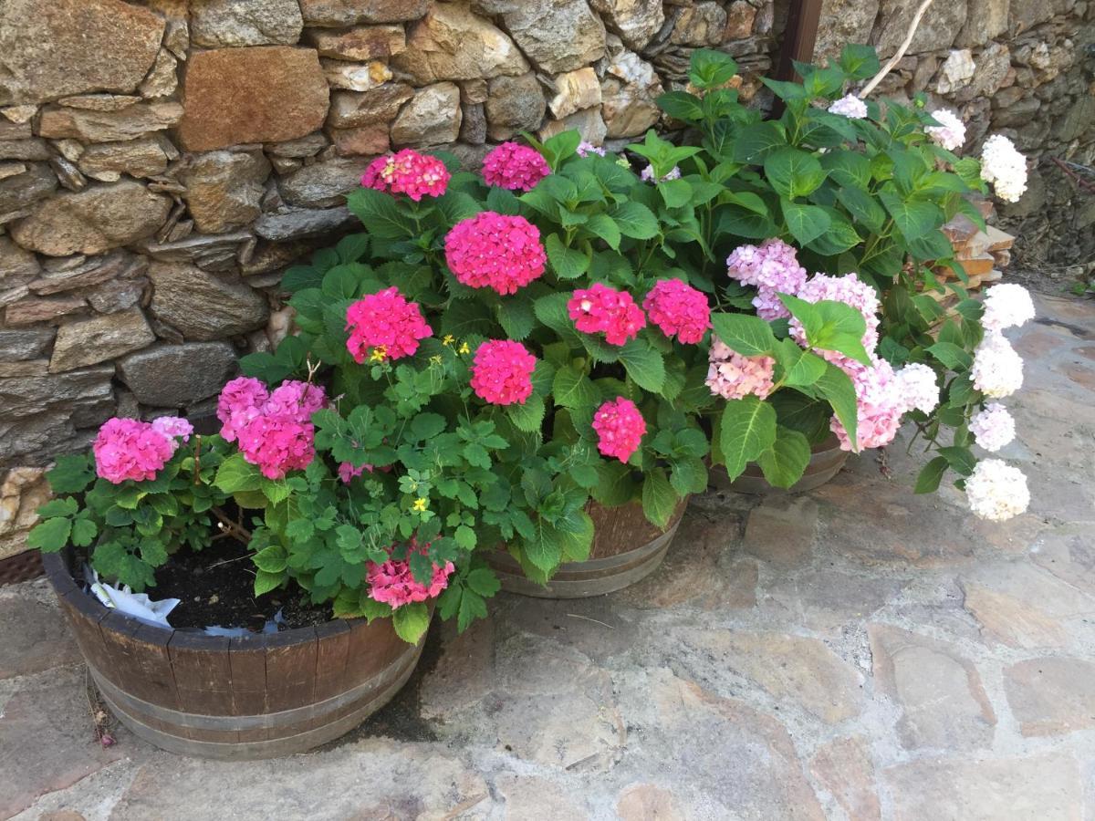 Holiday home El Huerto De Leon *