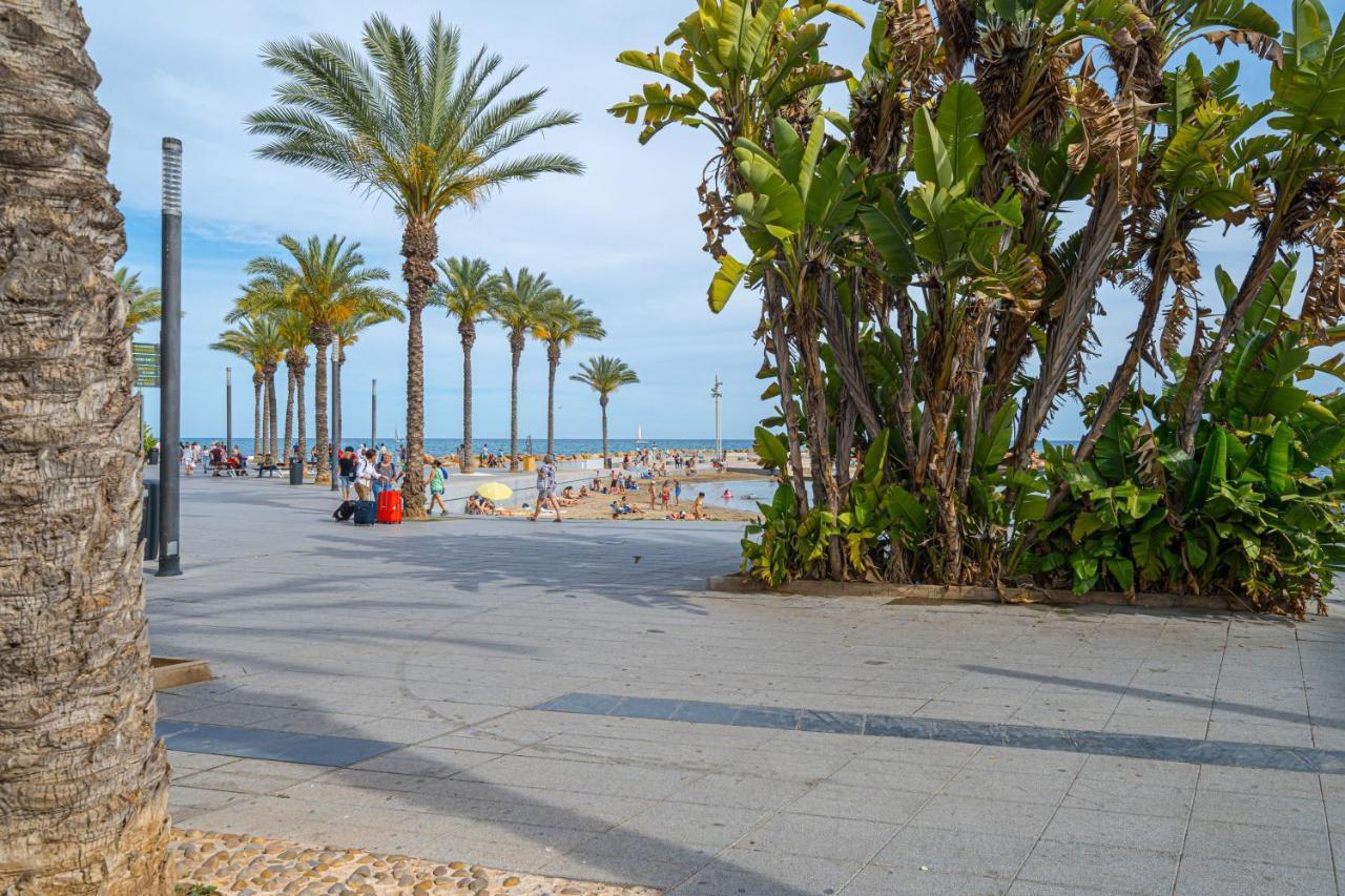 Casa Terra: 50 Meters From The Torrevieja