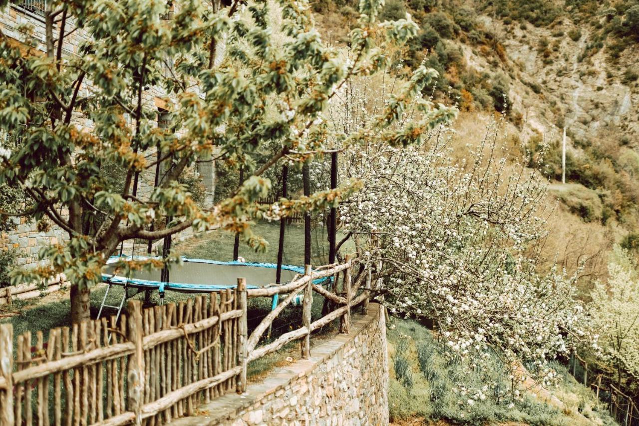 De Montaña Lamiana
