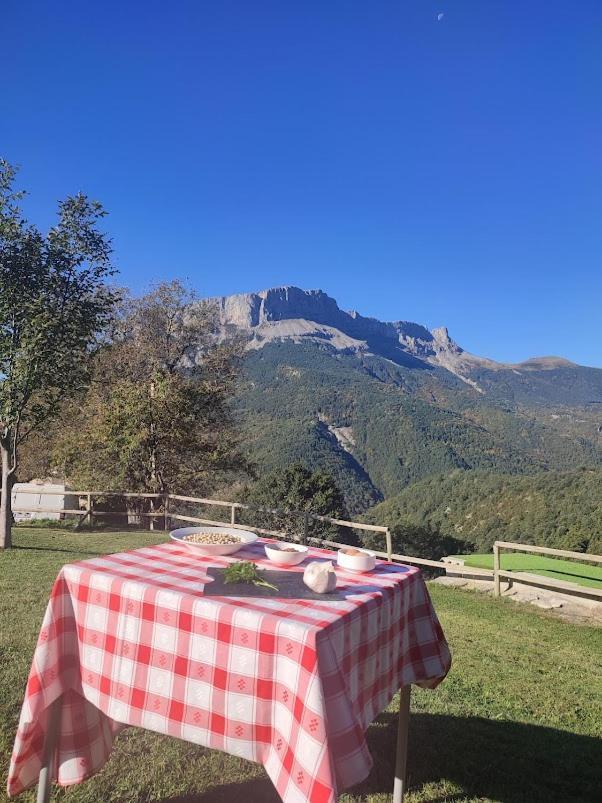 De Montaña * Lamiana
