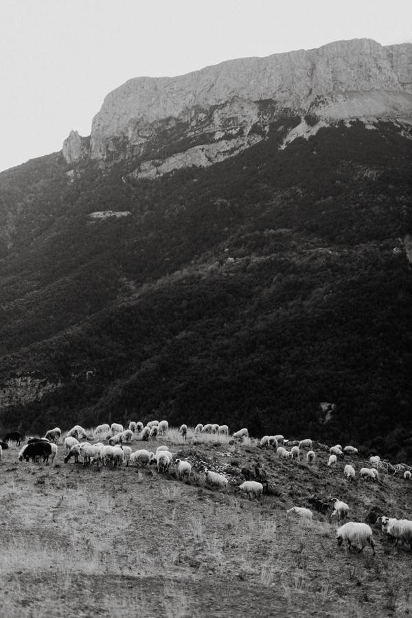 De Montaña