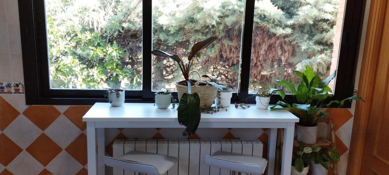 Apartment Idafe