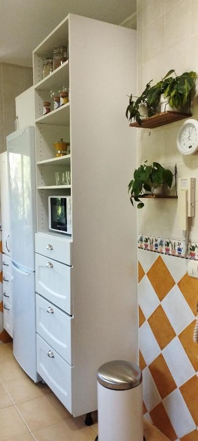 Apartment Idafe *