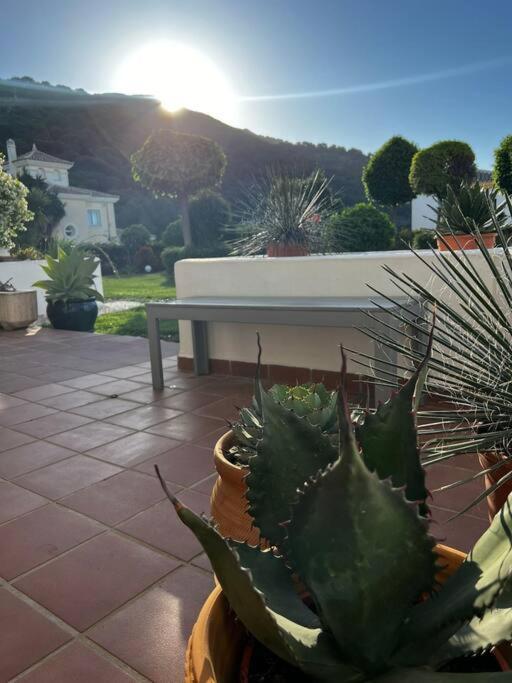 Ruim Appartement, Zonnig Terras, Alhaurin Golf! Alhaurin el Grande