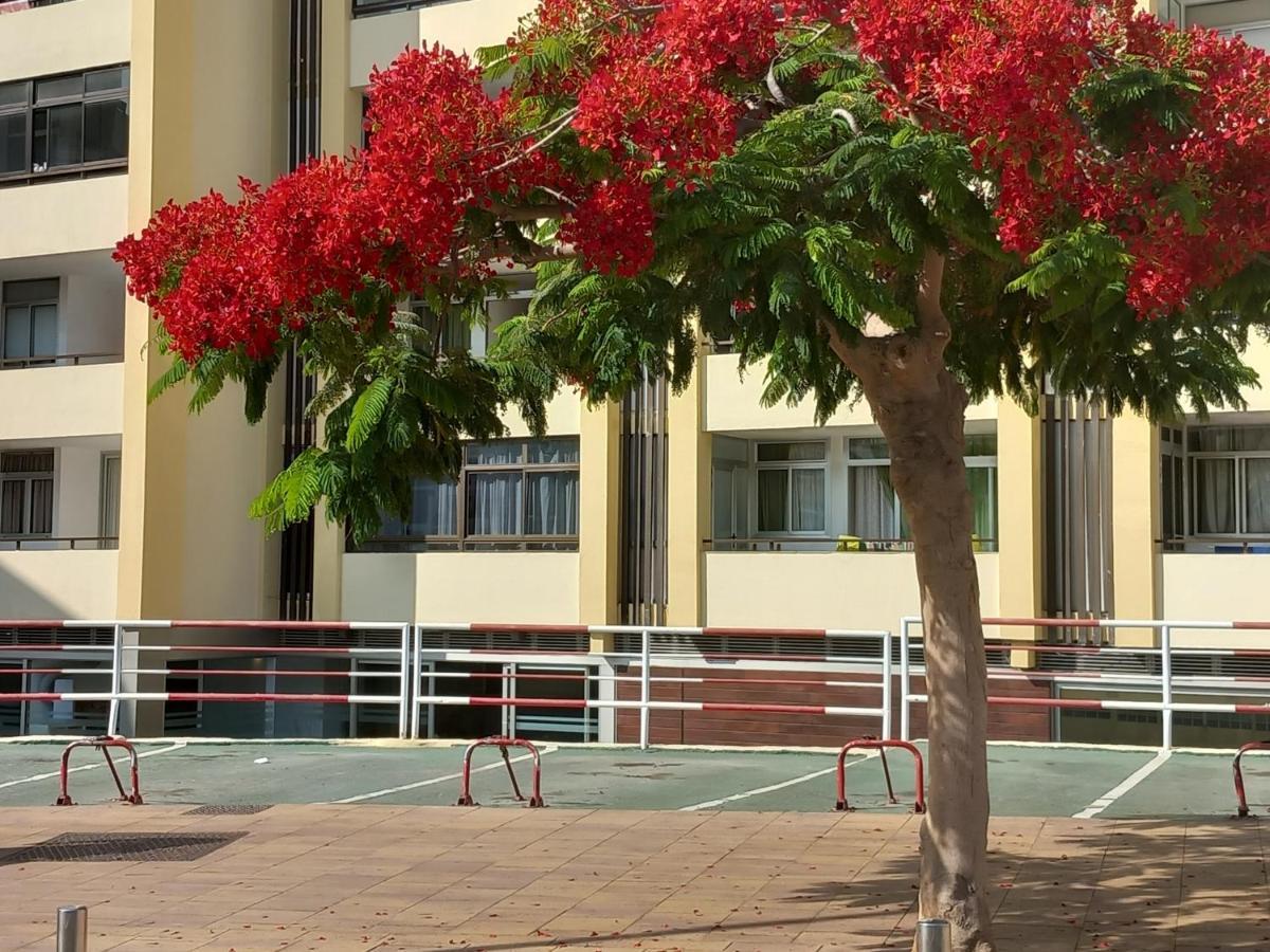 Tropical House Near Beach&yumbo Apartment San Bartolome de Tirajana (Gran Canaria)