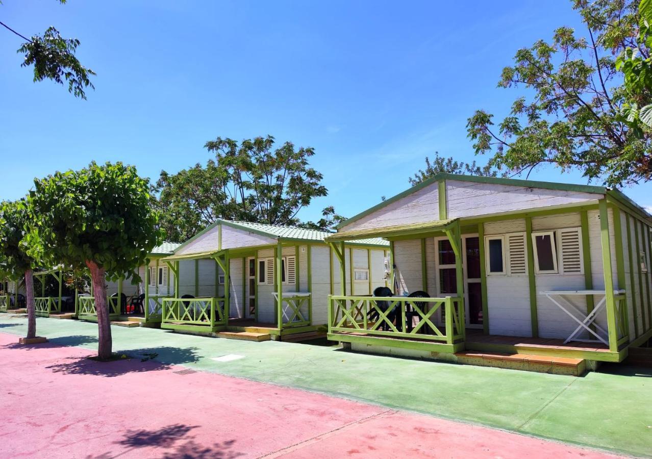 El Jardin
