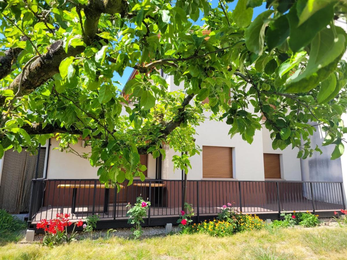 Сasa de vacaciones Casa Julio, Bonita Casa Comoda Y Espaciosa, Totalmente Reformada Con Terraza Y Jardin Privado