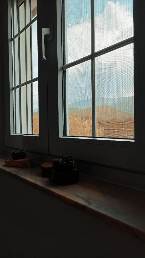 Moiko Holiday home