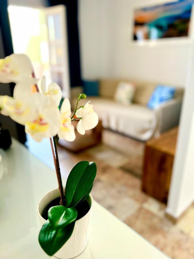 Cosy Studio In Costa Adeje - Orlandito *